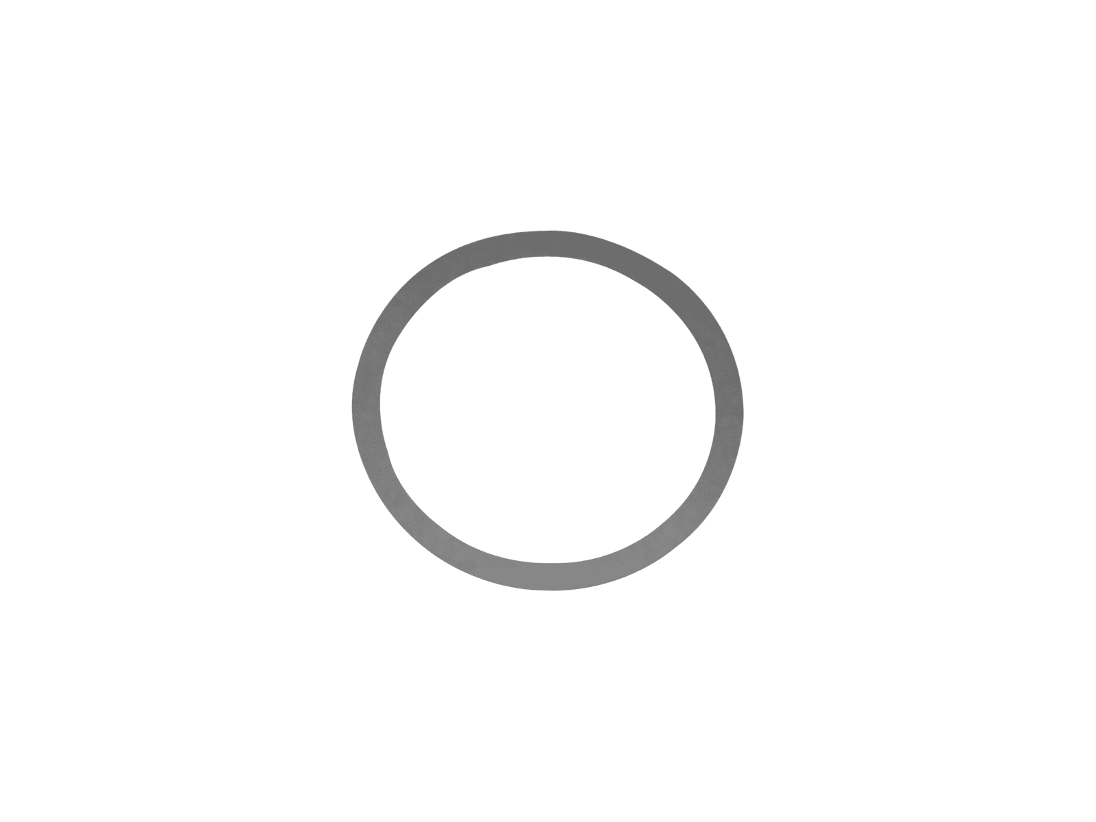 Backup O-Ring